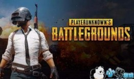 国际服最新爆料绝地求生,全新游戏机制与内容即将上线