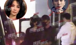 谢霆锋和王菲最新爆料,揭秘娱乐圈不为人知的一面