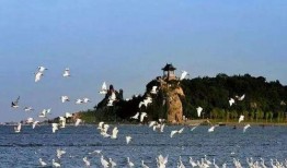 北戴河旅游爆料最新消息,最新爆料揭示热门景点与活动！