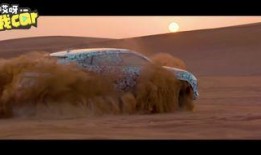 最新沙漠爆料消息视频,揭秘神秘遗迹与未知生物的惊世之谜