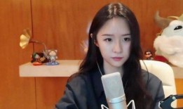 144期龙姐最新爆料,144期最新爆料，揭秘娱乐圈幕后真相