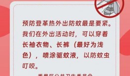 成都群聊爆料最新消息,揭秘XX事件背后真相