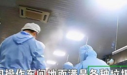配餐爆料视频大全最新,视频大全带你领略美食新风尚