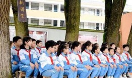 青枫最新爆料新闻,最新爆料事件深度解析