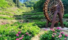 邯郸花溪谷最新爆料消息,神秘项目即将揭开面纱，打造生态旅游新地标