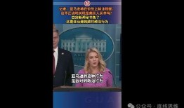 美国最新计划爆料视频,独家视频爆料深度解析