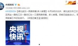 武汉爆料最新新闻,聚焦城市动态与民生焦点