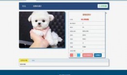 最新宠物爆料网站,萌宠动态大盘点，揭秘宠物界的秘密生活